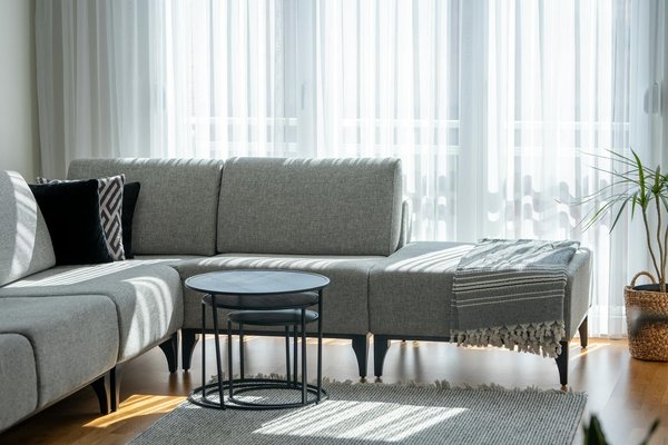 Comment les frais d'agence immobilière sont-ils réglementés en France ?